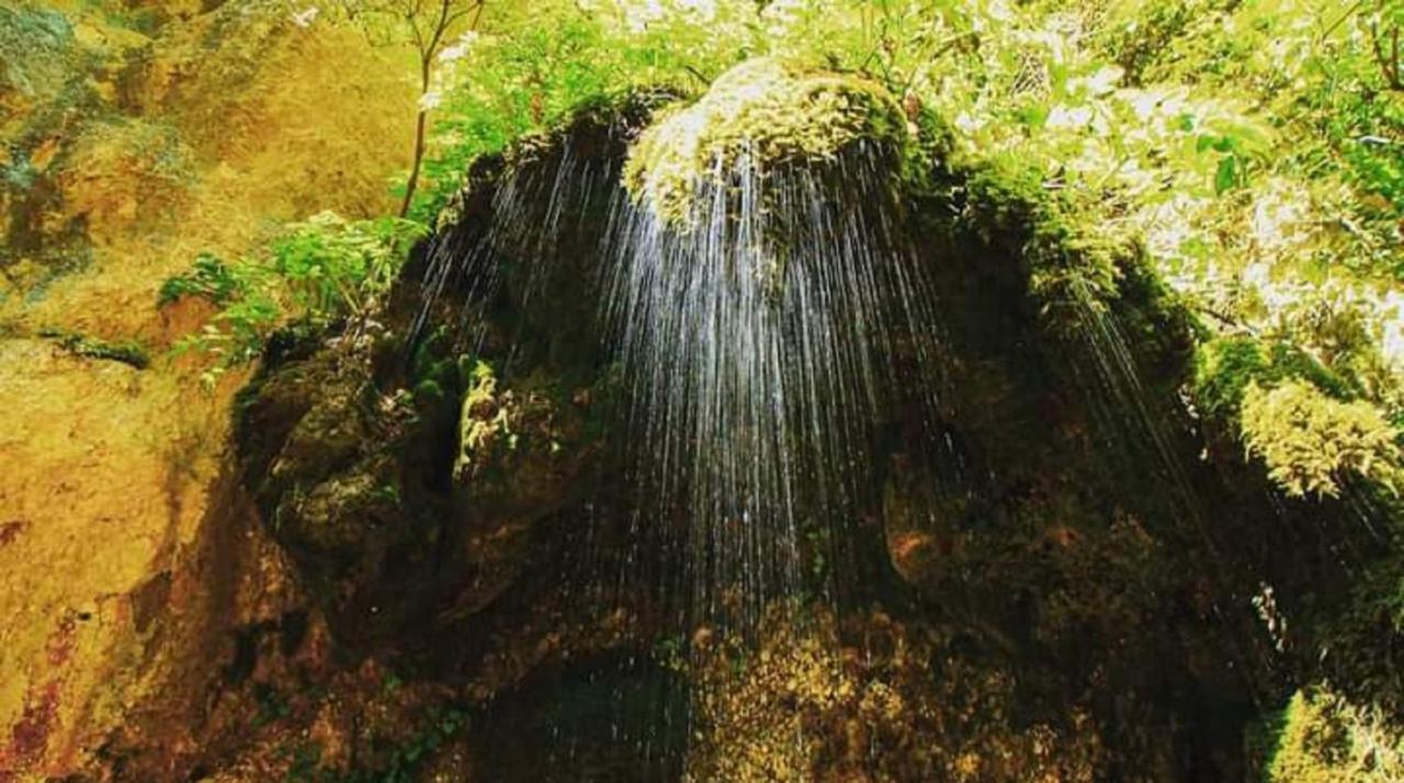 Residence Le Ginestre Αβετζάνο Εξωτερικό φωτογραφία